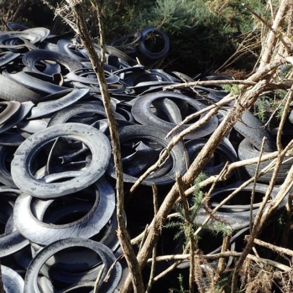 A mound of dumped tyres in native bush — the same material researchers say is now the country’s largest source of microplastics. Photo / RNZ