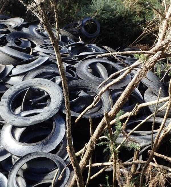 A mound of dumped tyres in native bush — the same material researchers say is now the country’s largest source of microplastics. Photo / RNZ