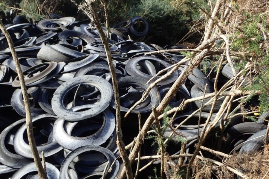 A mound of dumped tyres in native bush — the same material researchers say is now the country’s largest source of microplastics. Photo / RNZ