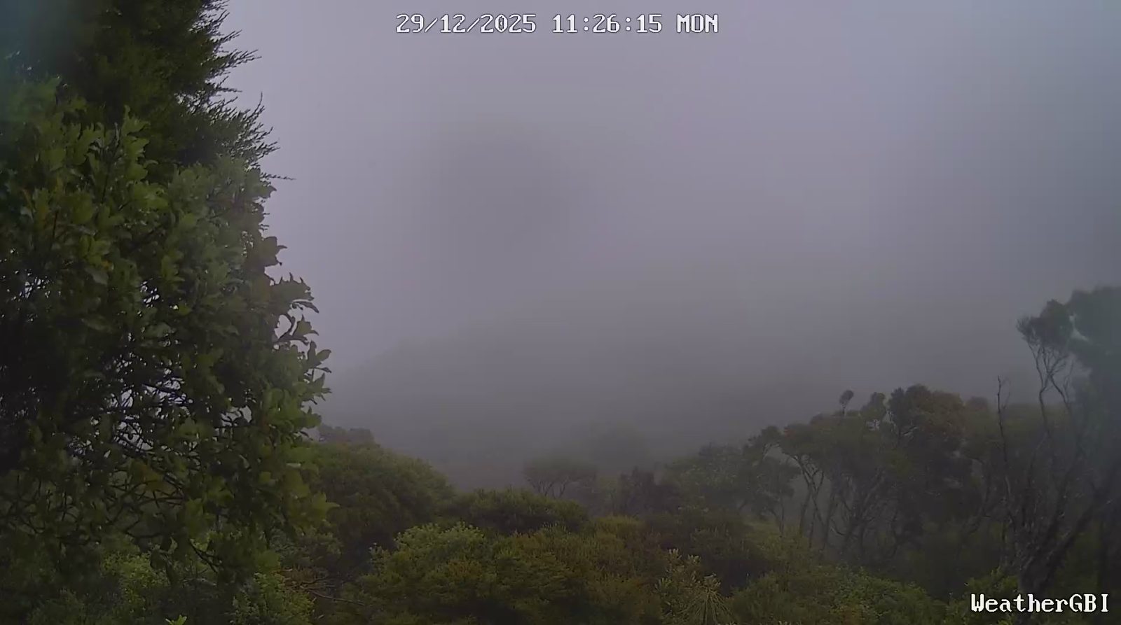 Barrier Times / AoteaGBI.news Weather Camera