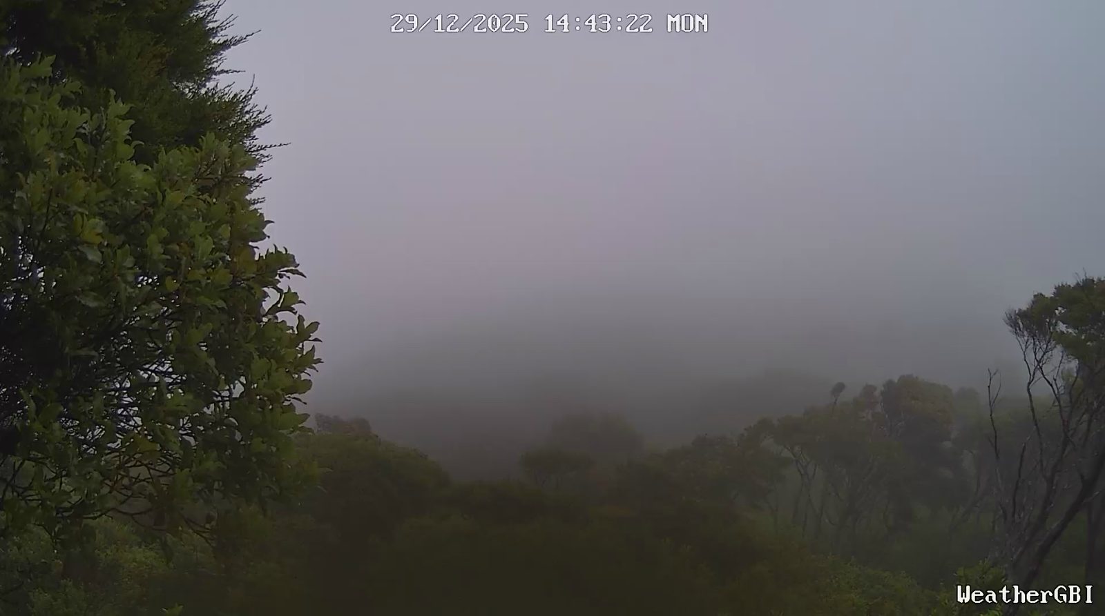 Barrier Times / AoteaGBI.news Weather Camera